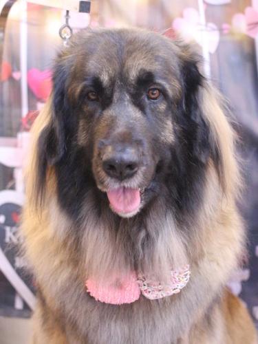 20250207シェリーちゃん